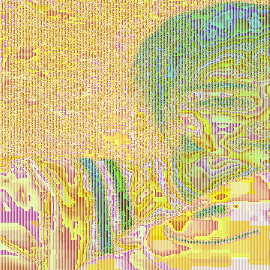老隋