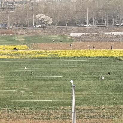 么凹猫🌈🐘🐭🦁🐯🍌🍎🍐