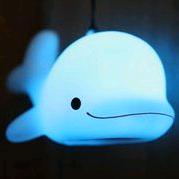 心诚则灵小鱼儿