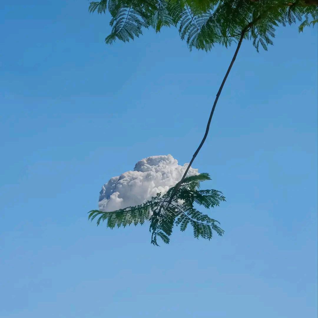 墨羽