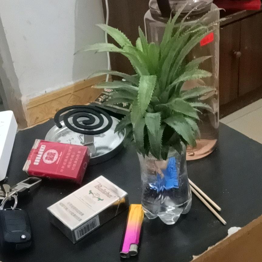 不是小子