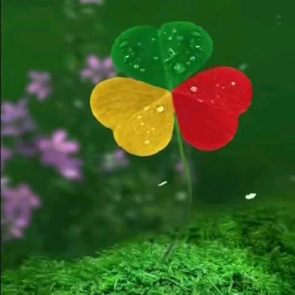花絮🌸