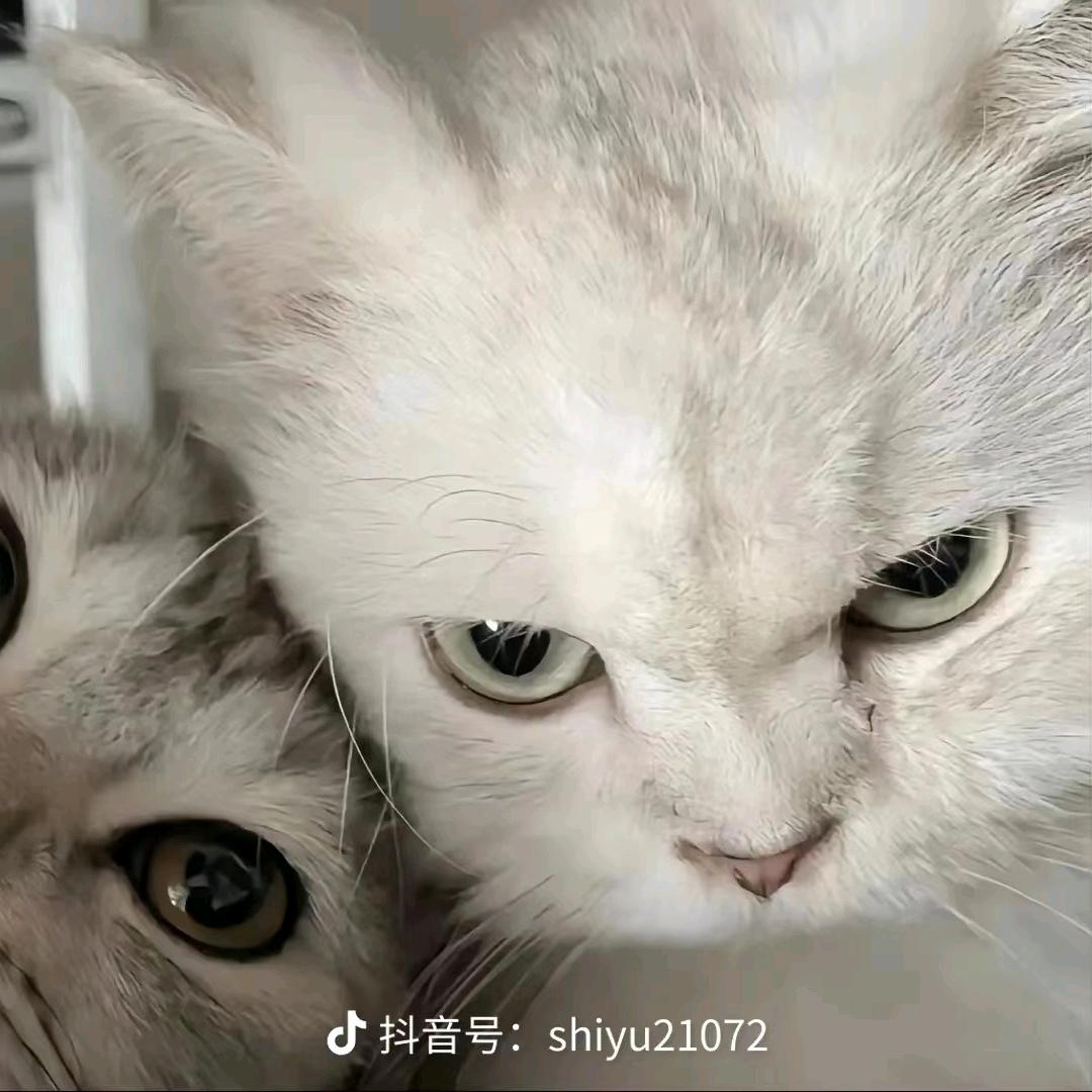 5km不进18不改名