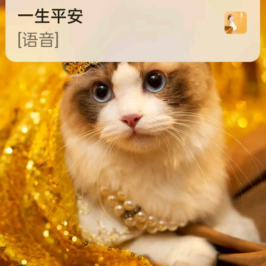 善良人生
