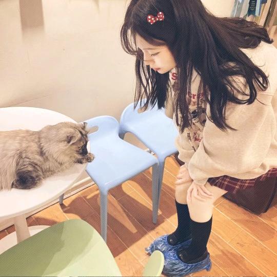 悲伤羊咩咩