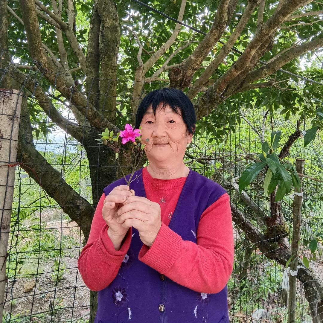 49年的老奶奶.