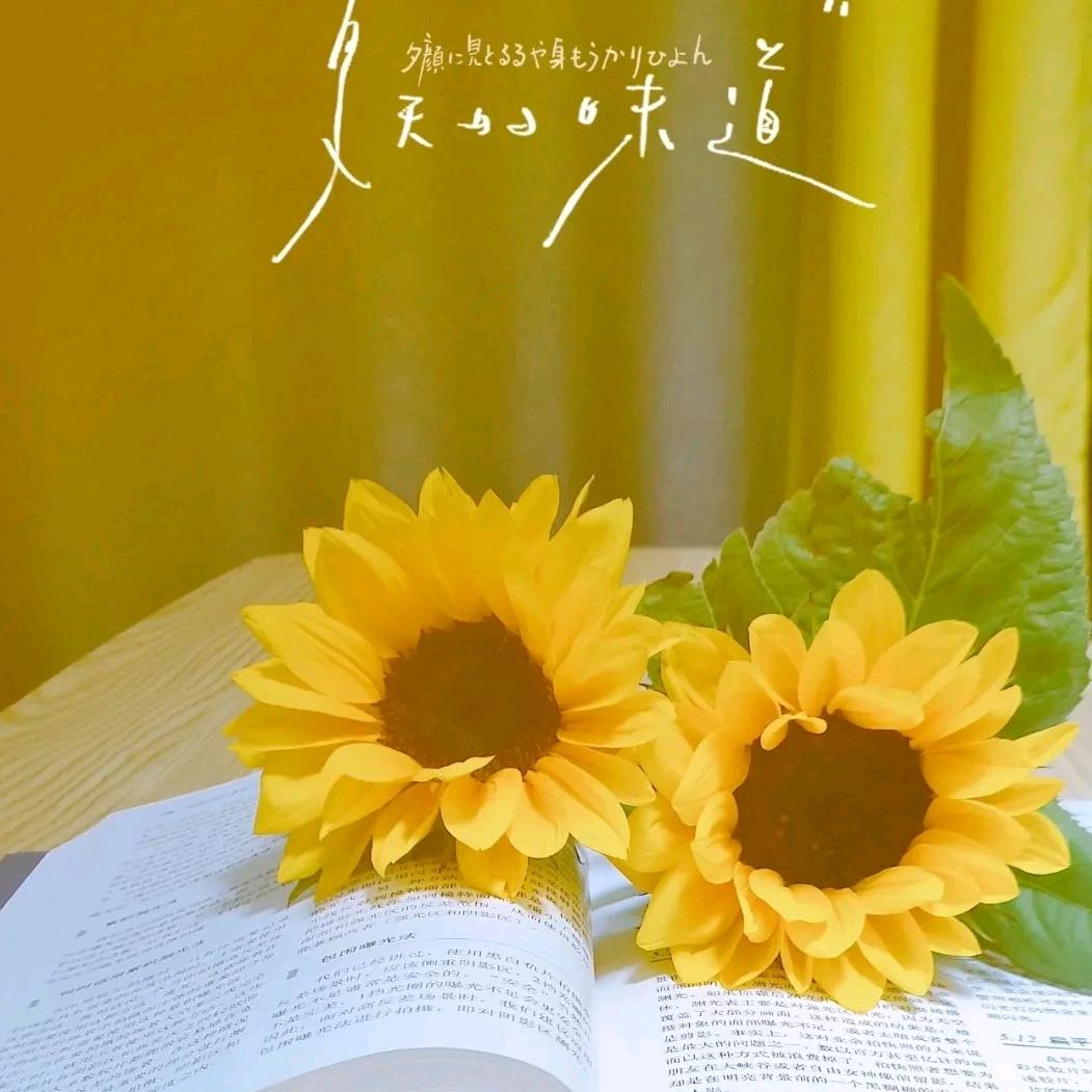 岁月旺长