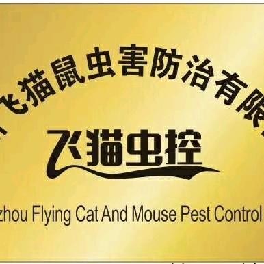 广州飞猫 鼠虫防治 中心