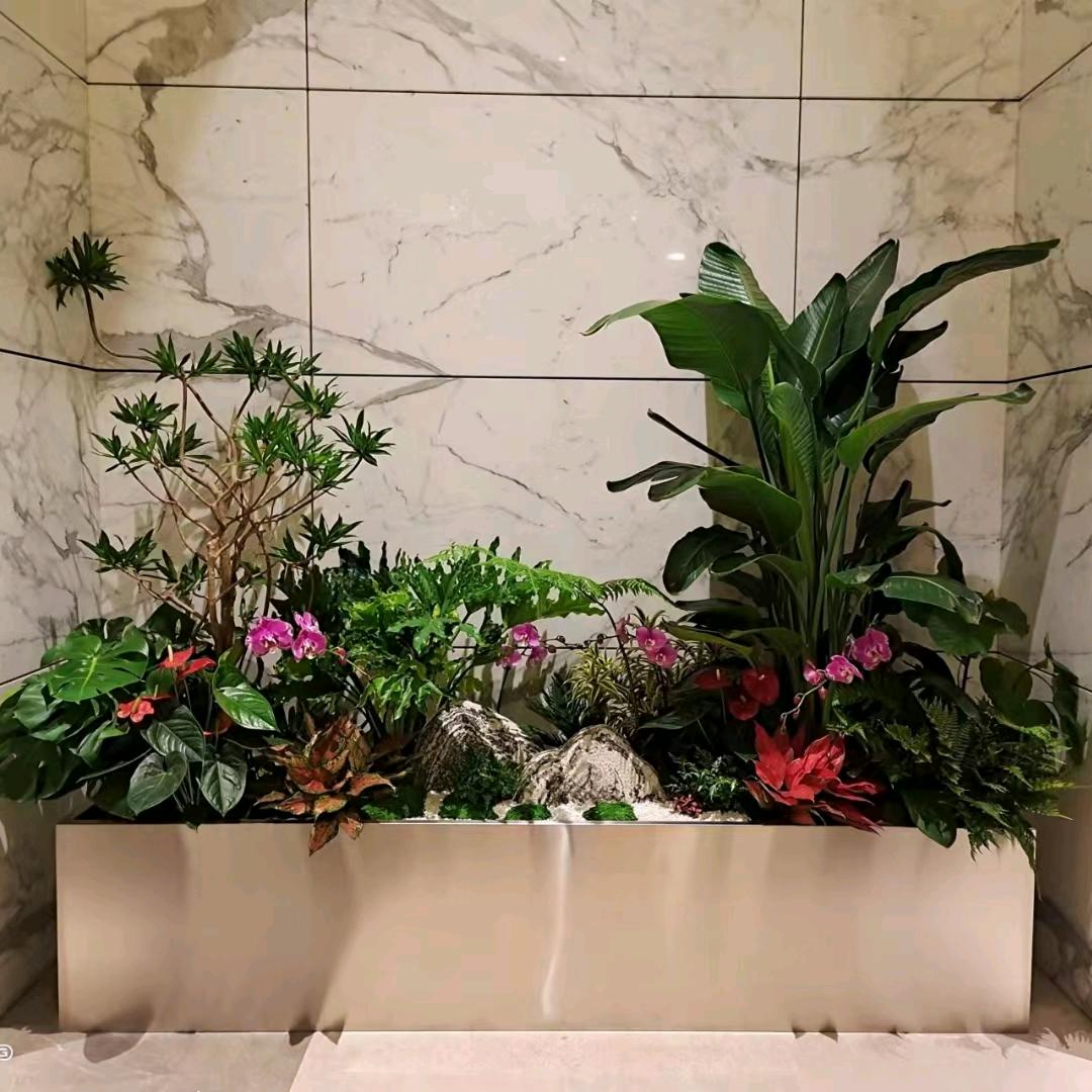 树先森绿植基地