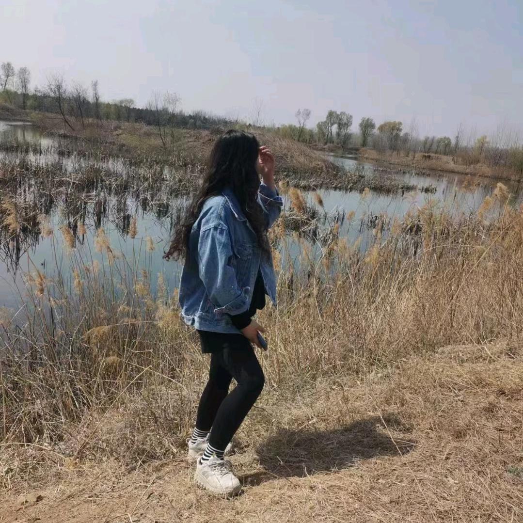 白色蔷薇