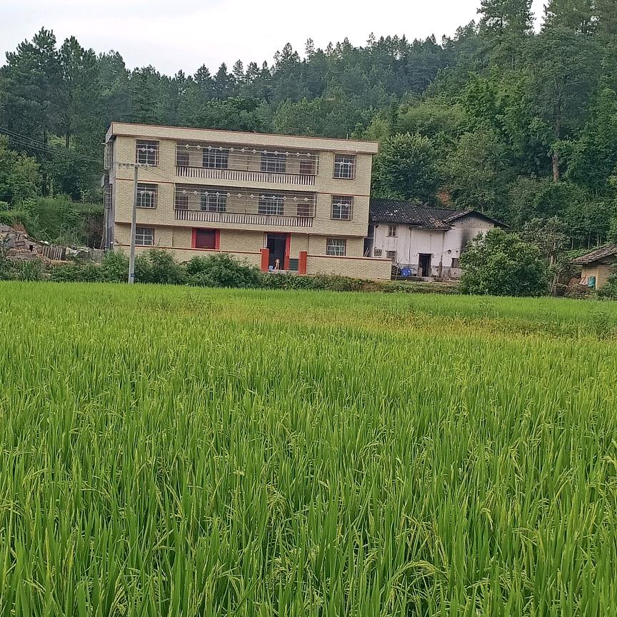 水晶之恋
