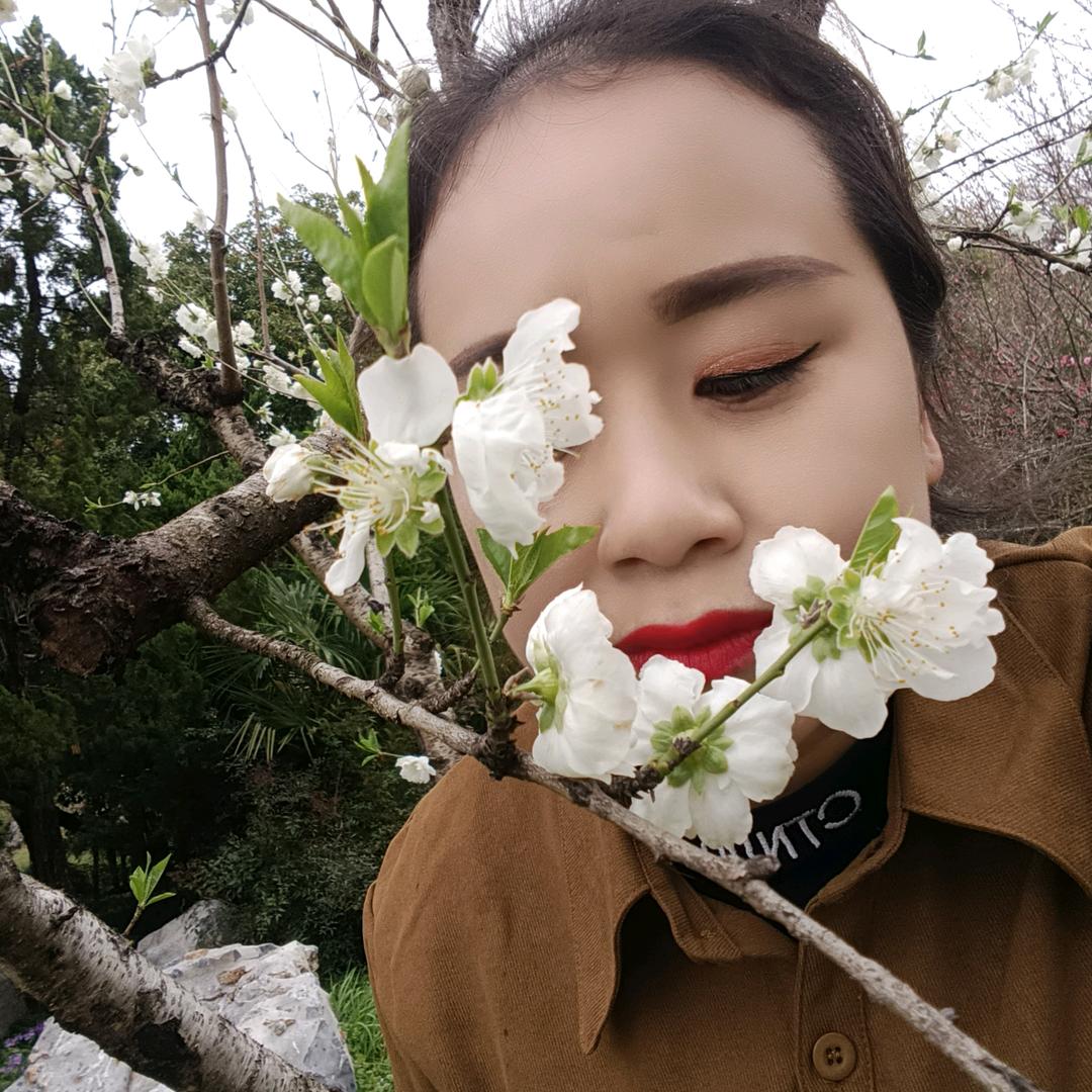 惠水布可一世窗帘~罗莎