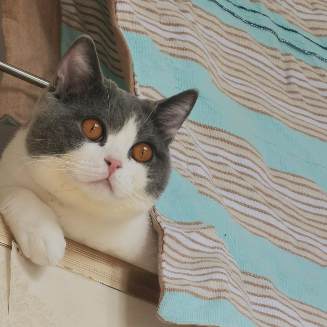 月亮湾