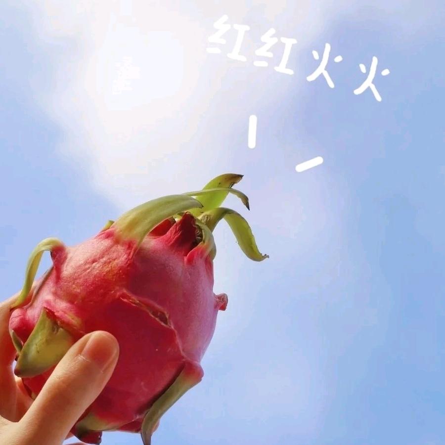 杜秋娘