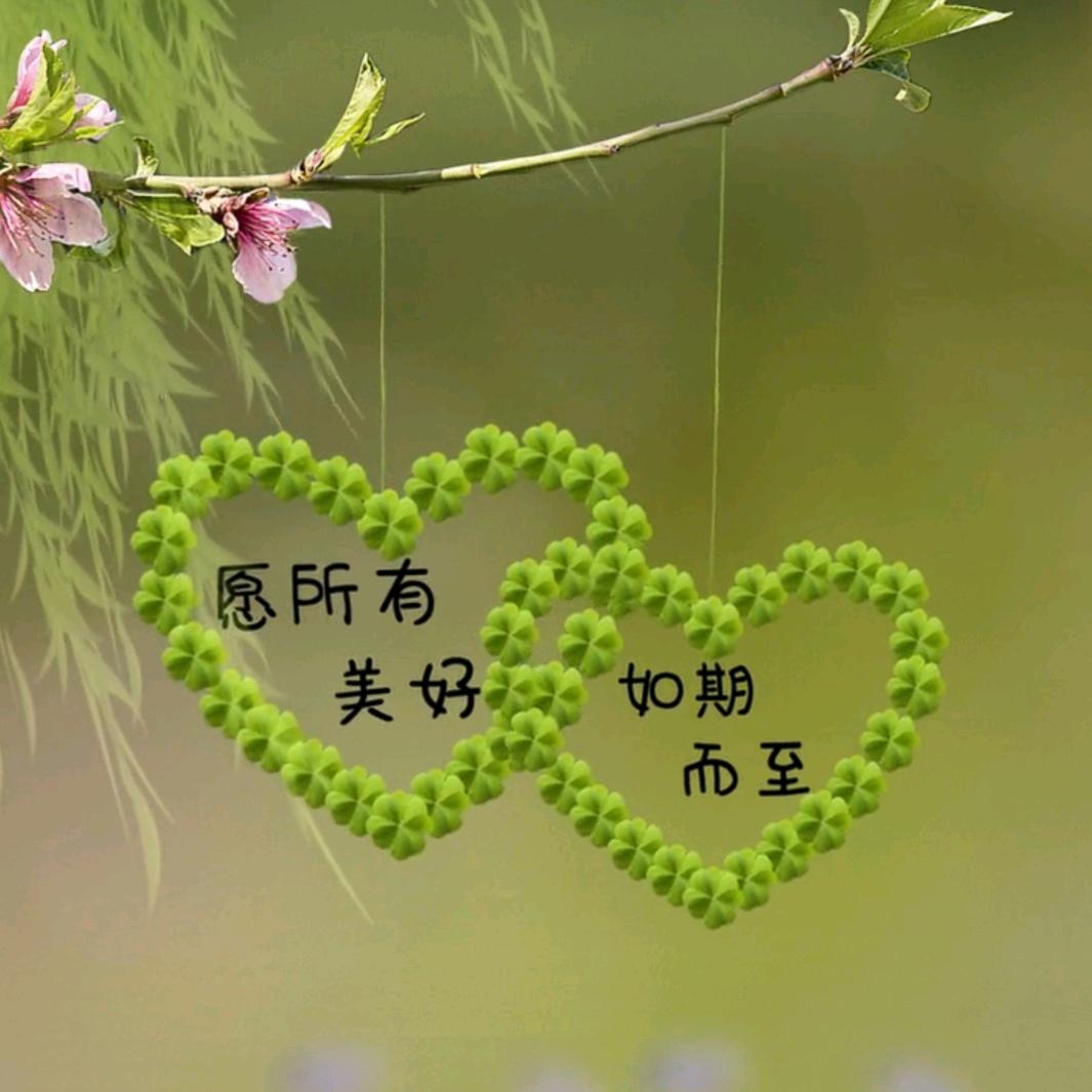 南墙已撞，故事以忘