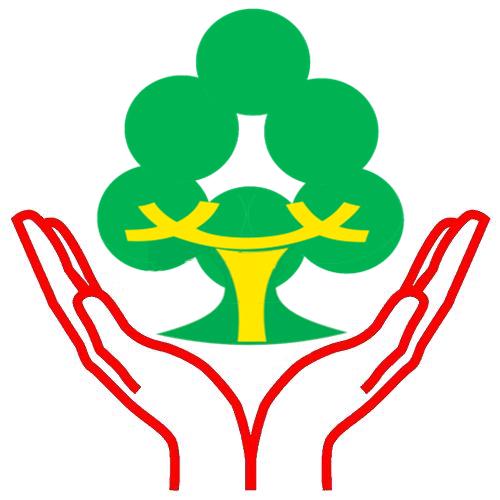 醉美樟树