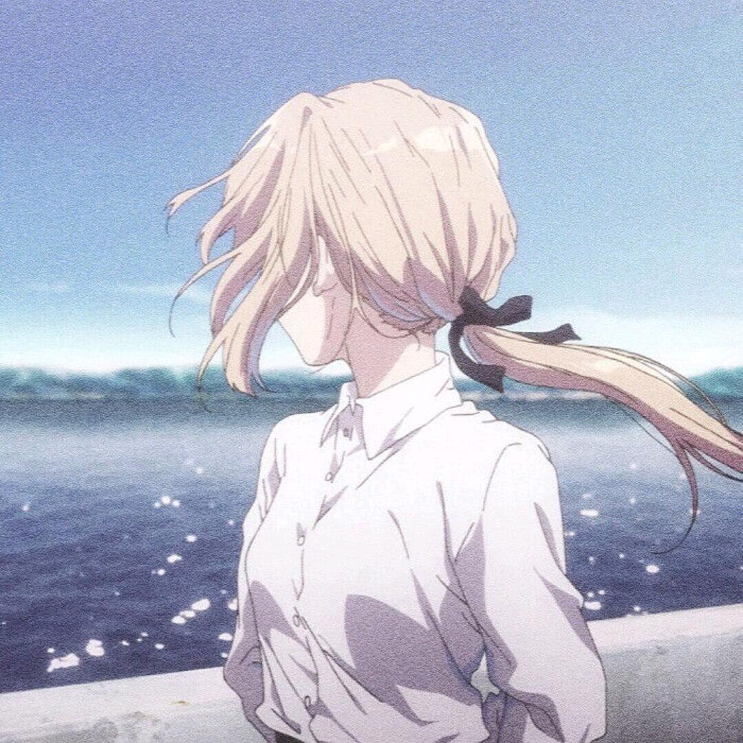 海灯花dm