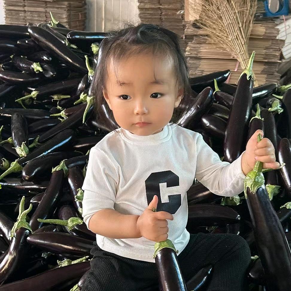 东北蔬菜产地代办飞姐