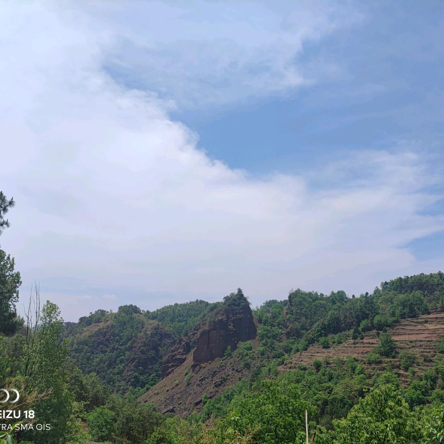 乡间小鱼