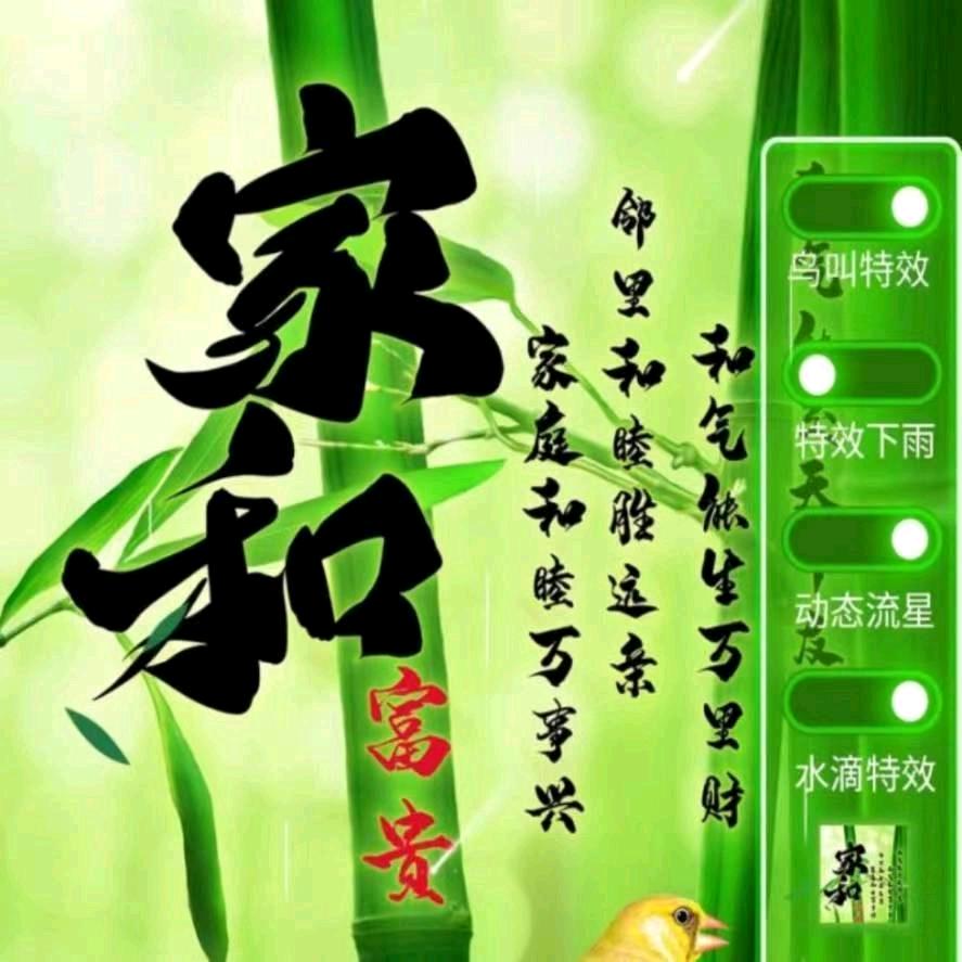 颖川浮生13：
