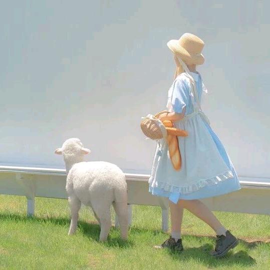 @韭蔡盒子