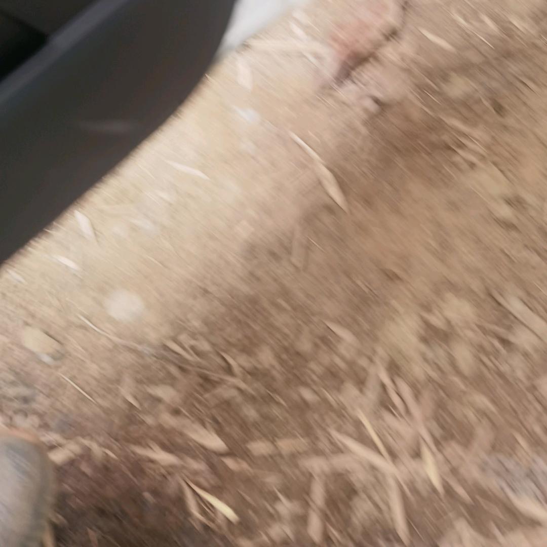 红红火火恍恍惚惚
