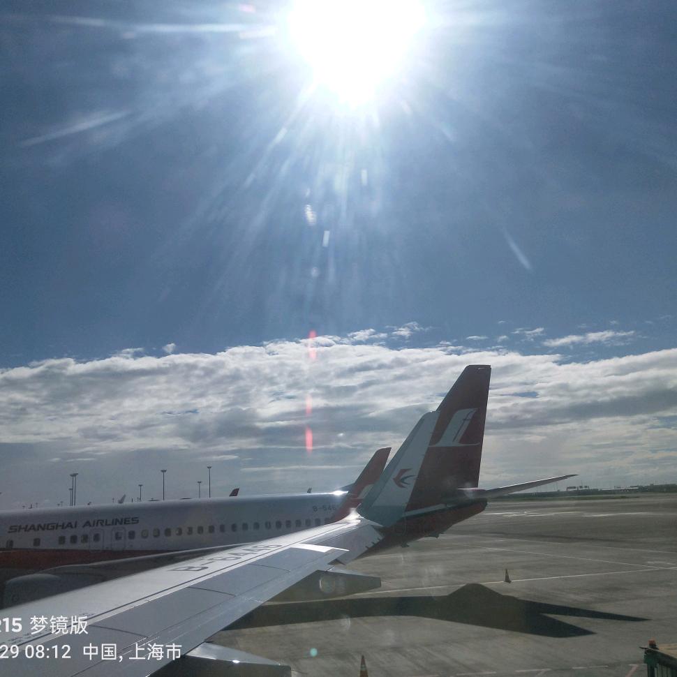 小荷才露尖尖角