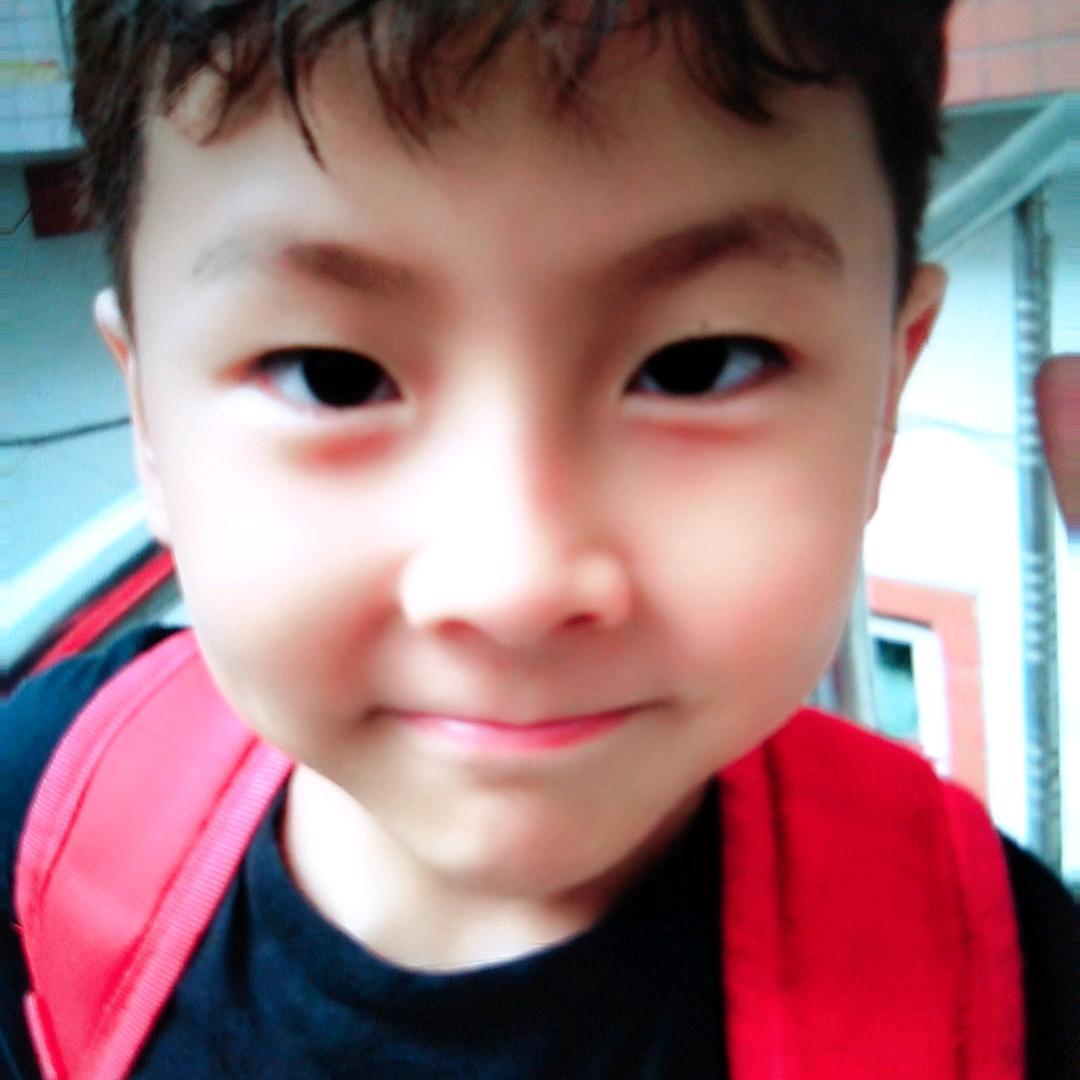 绿竹叶