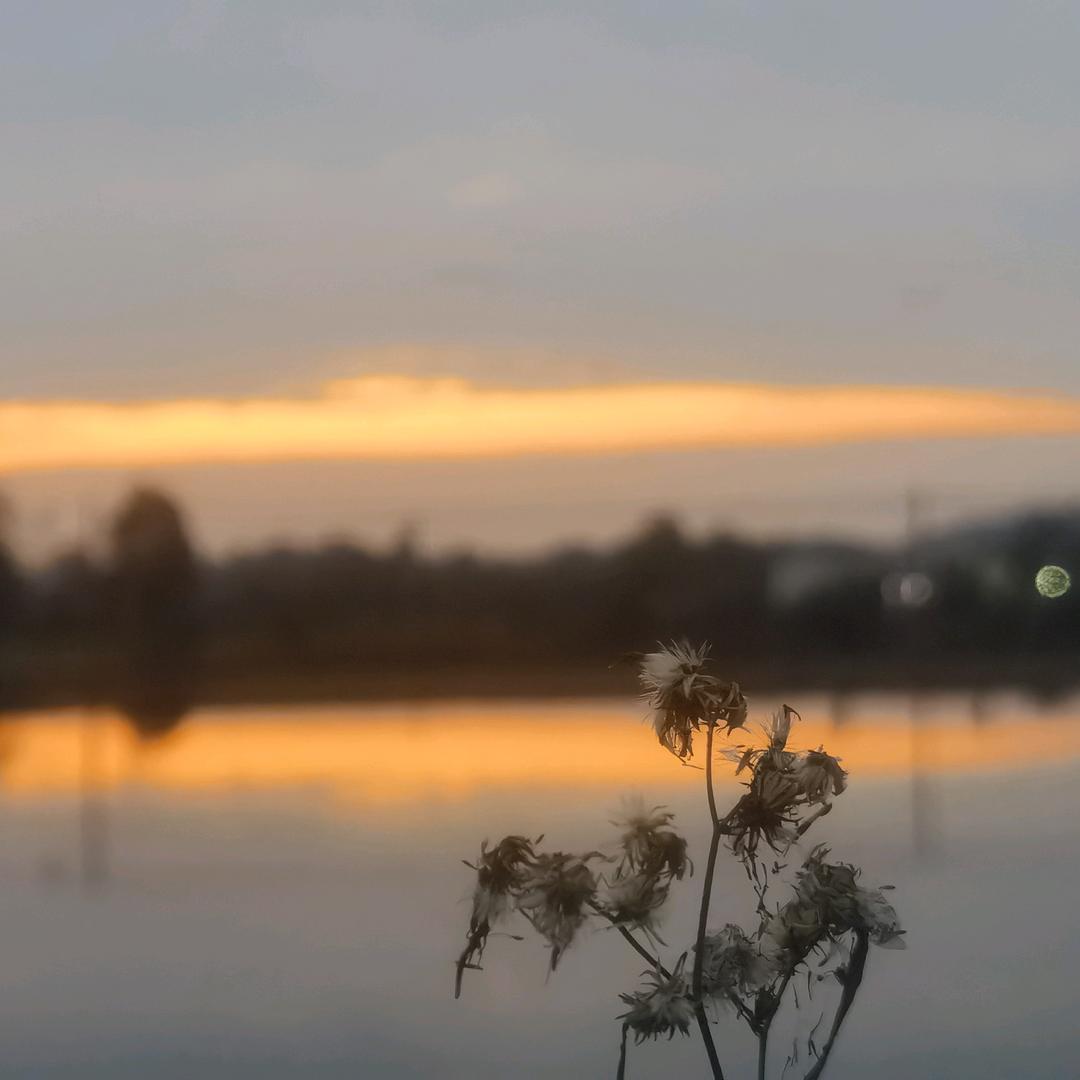 喜星河爱蓝天