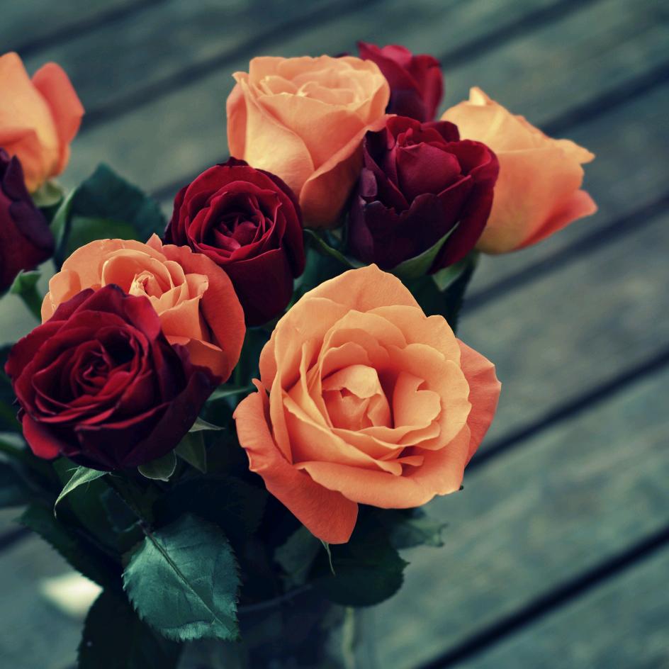 贵州阿栗花鸟世界