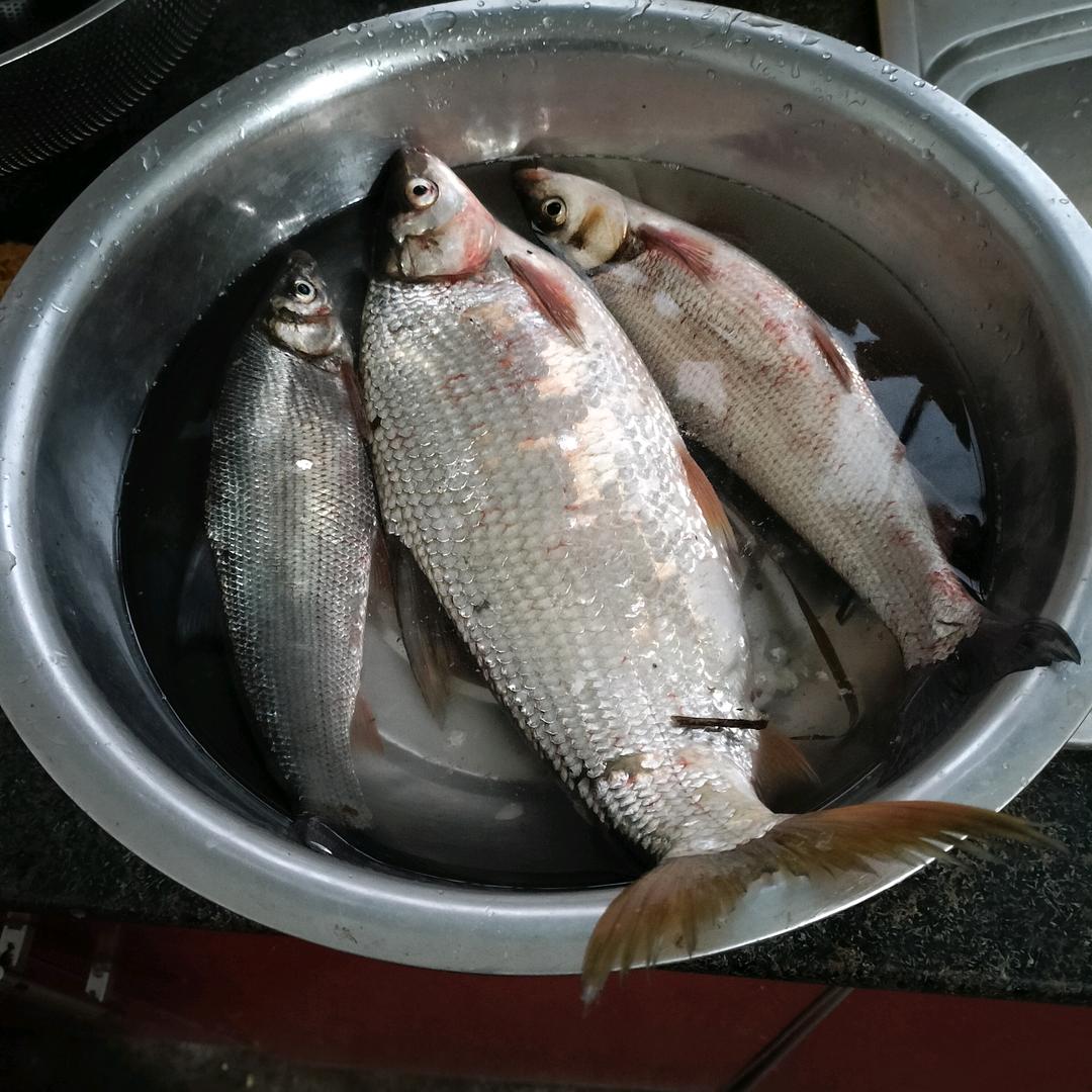 爱钓鱼