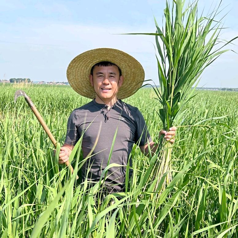 返乡小龙哥