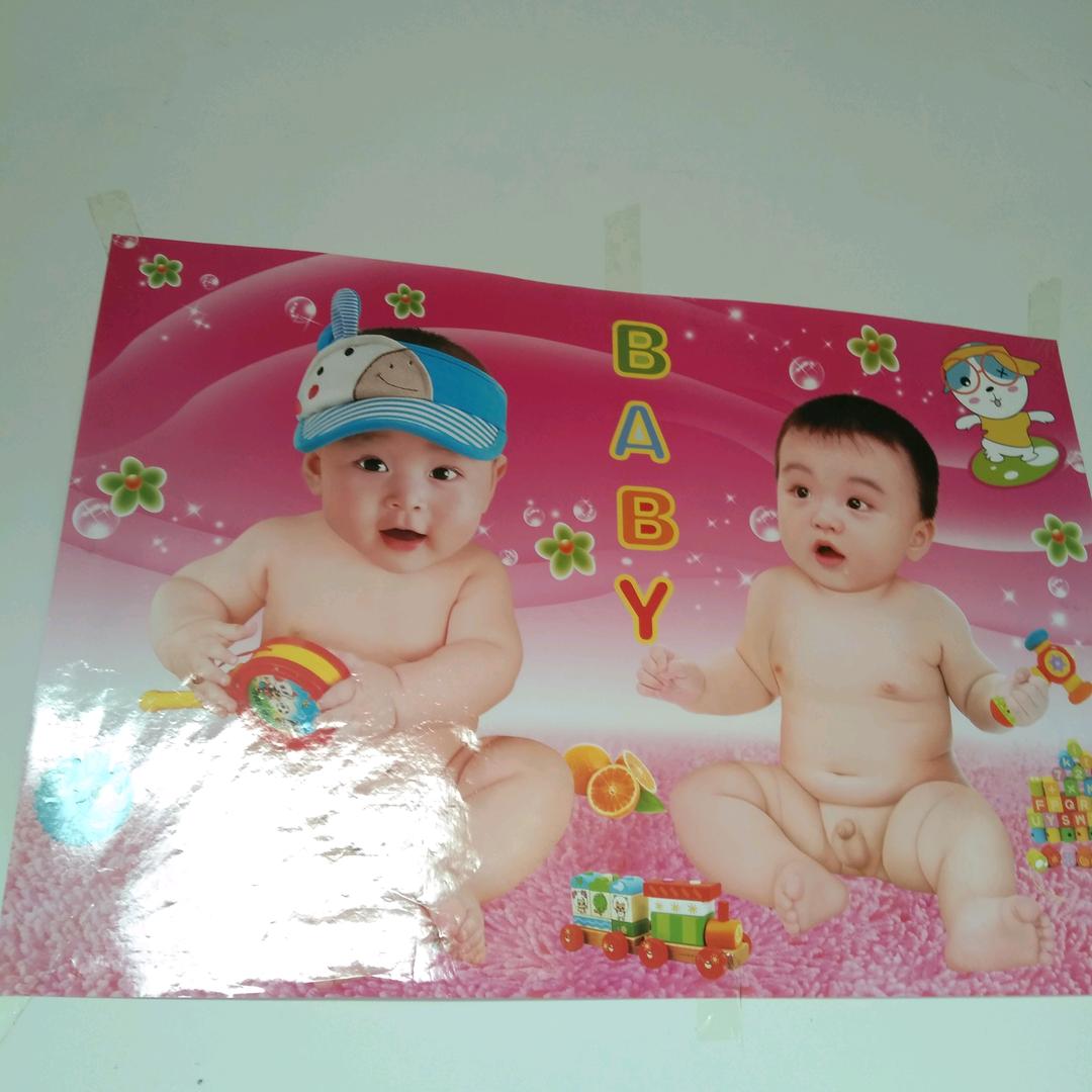 双仔