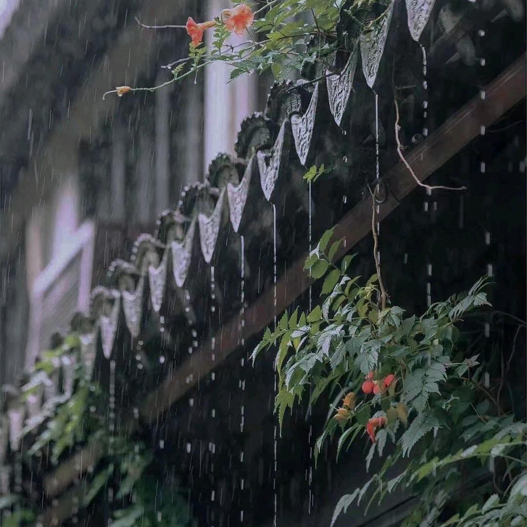 中国第一水乡水乡寒舍，民宿，