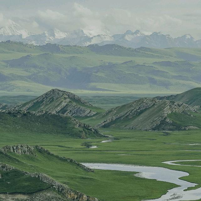我见青山.
