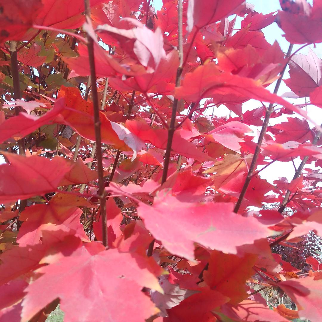 女人👩就要漂漂亮亮