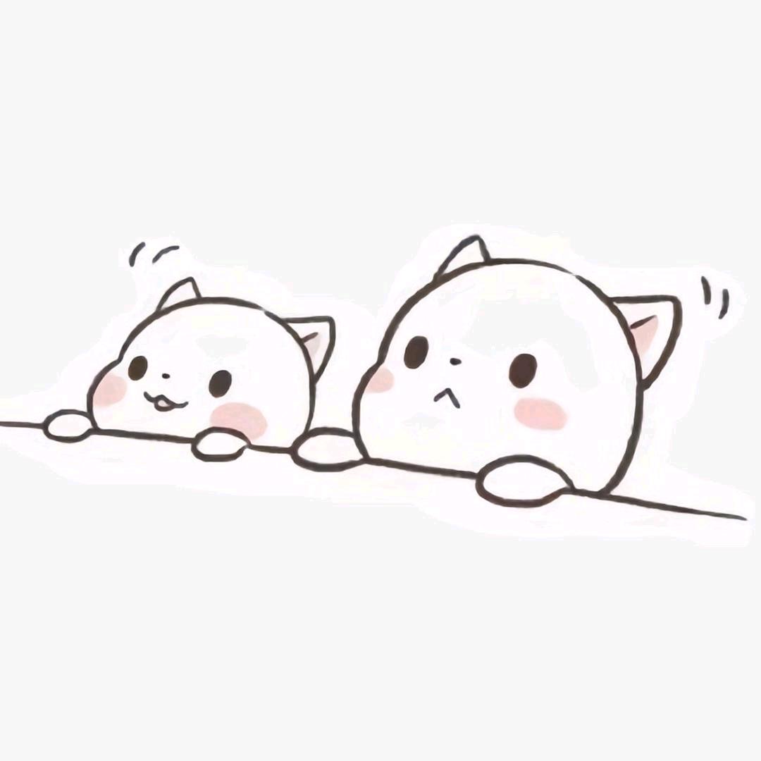 夏天天Summer💤