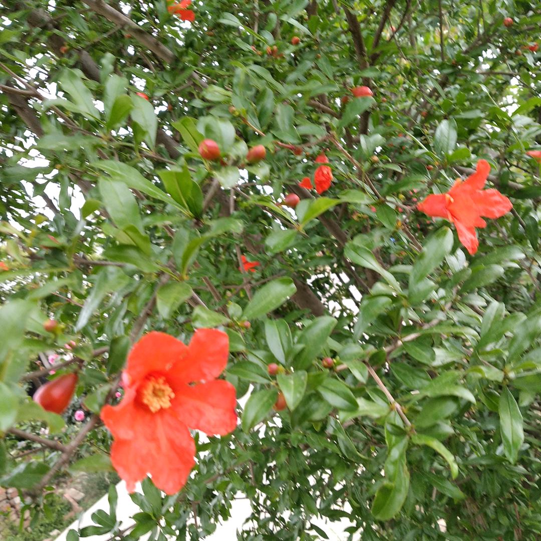 圆满一家