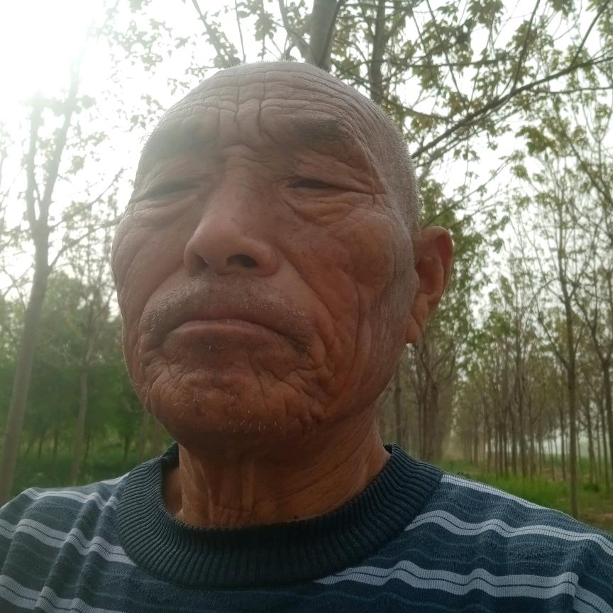 养志！。宋文恒