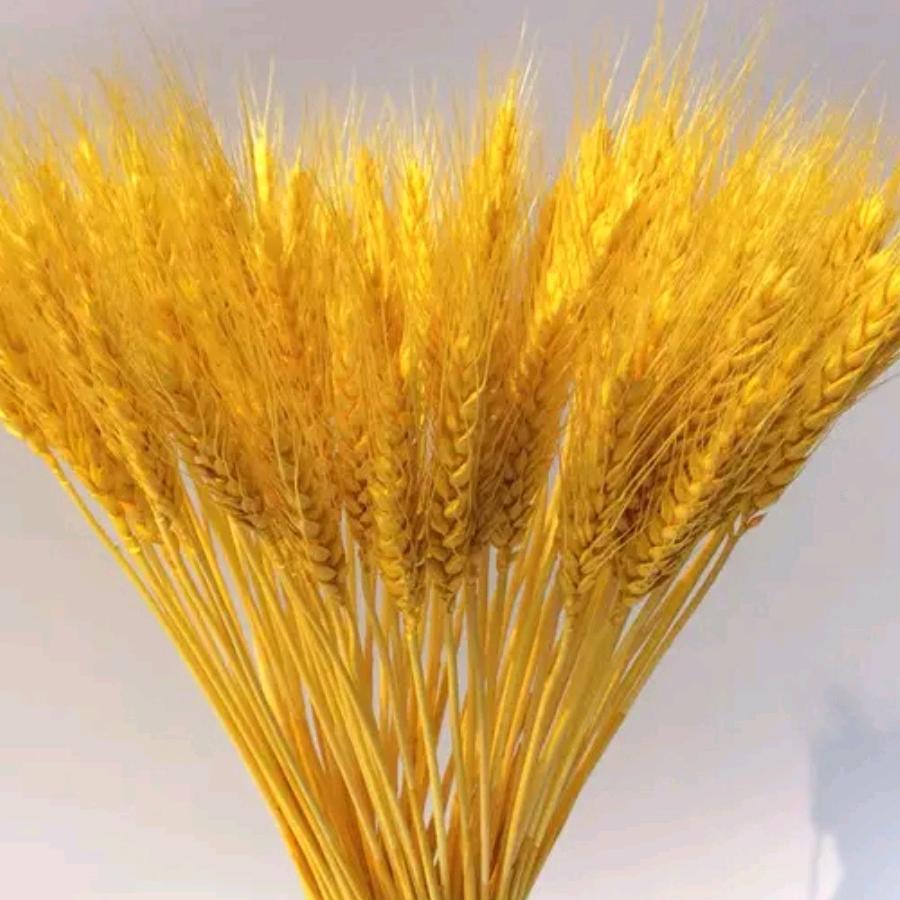 普普通通一个人