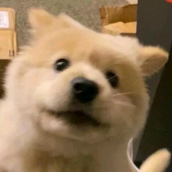 ～！