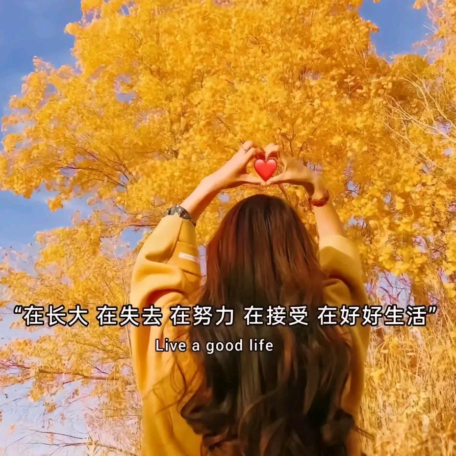 临蔡亲情蛋糕店