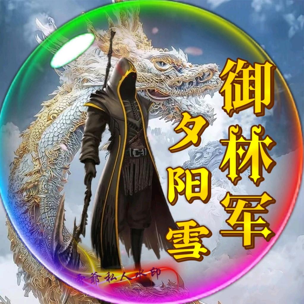 御林军ஊ夕阳雪