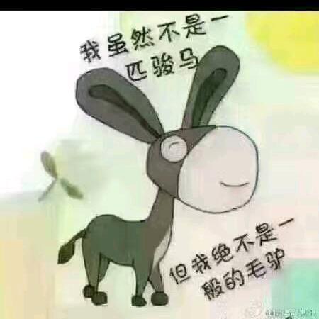史家大囡囡F