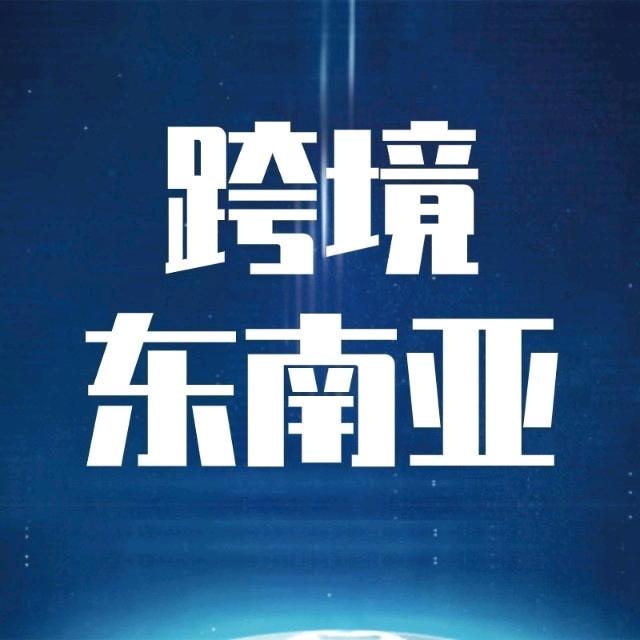 东南亚跨境电商