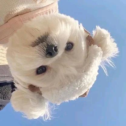 爱在身边