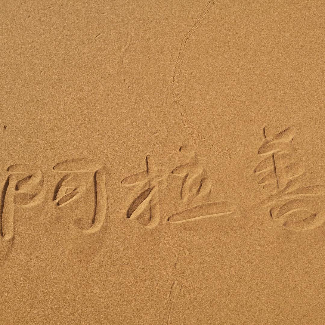 努力奋斗