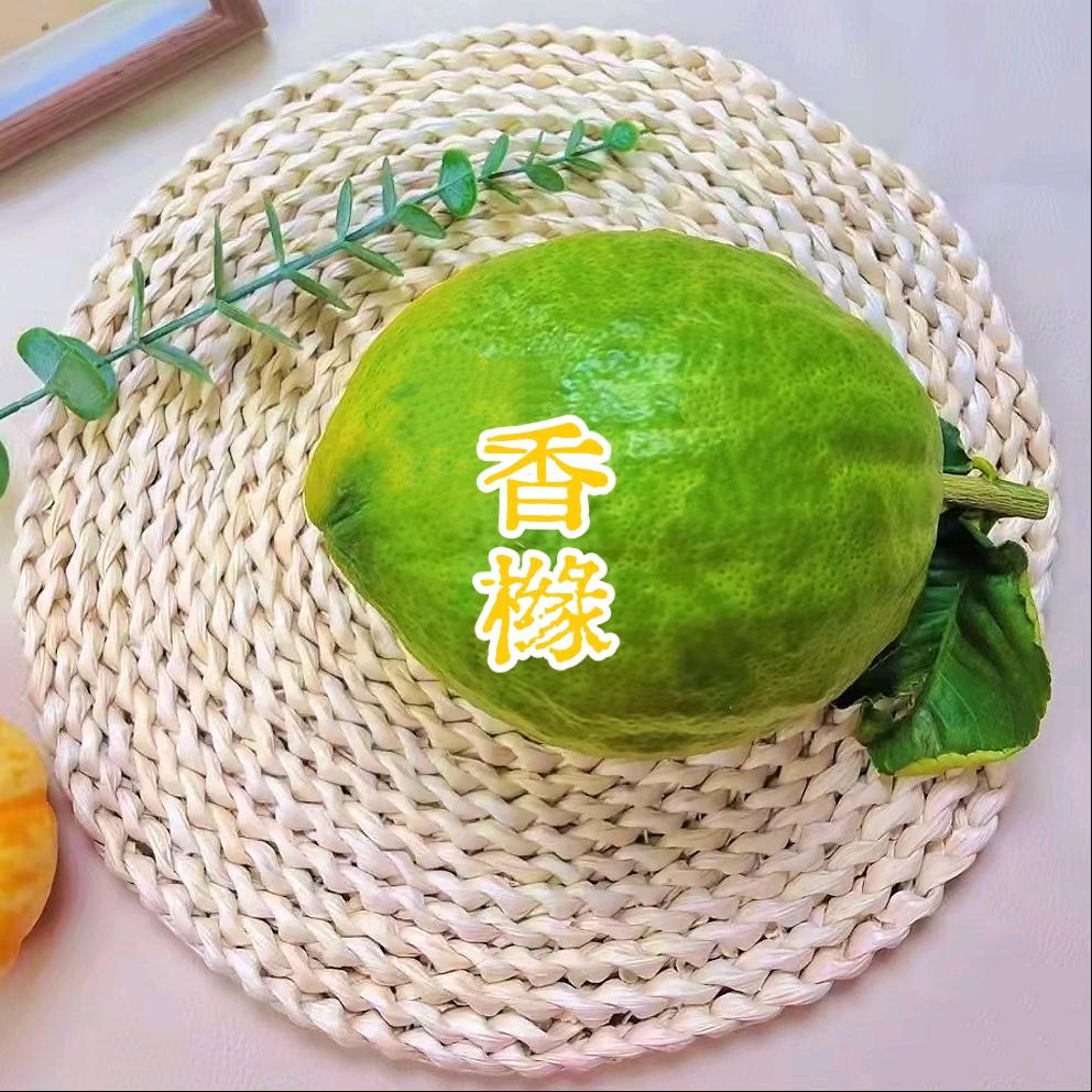 见花如见面