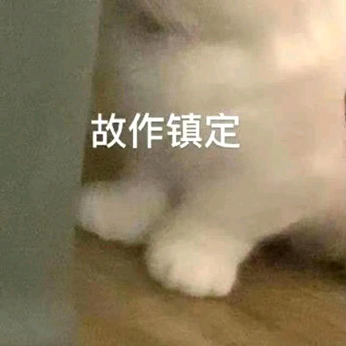 vv