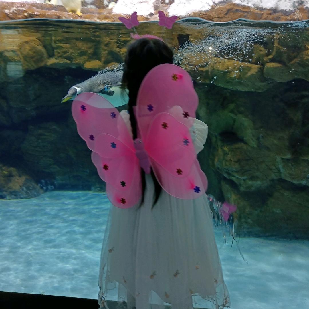 @陈情直播间💕